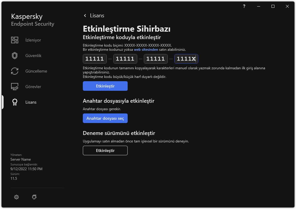 Uygulama etkinleştirme araçlarının bulunduğu pencere. Kullanıcı bir etkinleştirme kodu girebilir veya bir anahtar dosyası seçebilir.