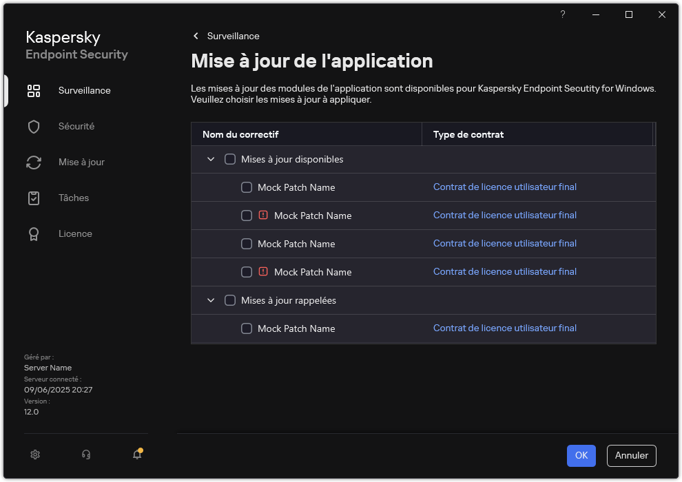 Fenêtre avec la liste des correctifs disponibles. L'utilisateur peut sélectionner les correctifs et accepter les conditions générales des accords.