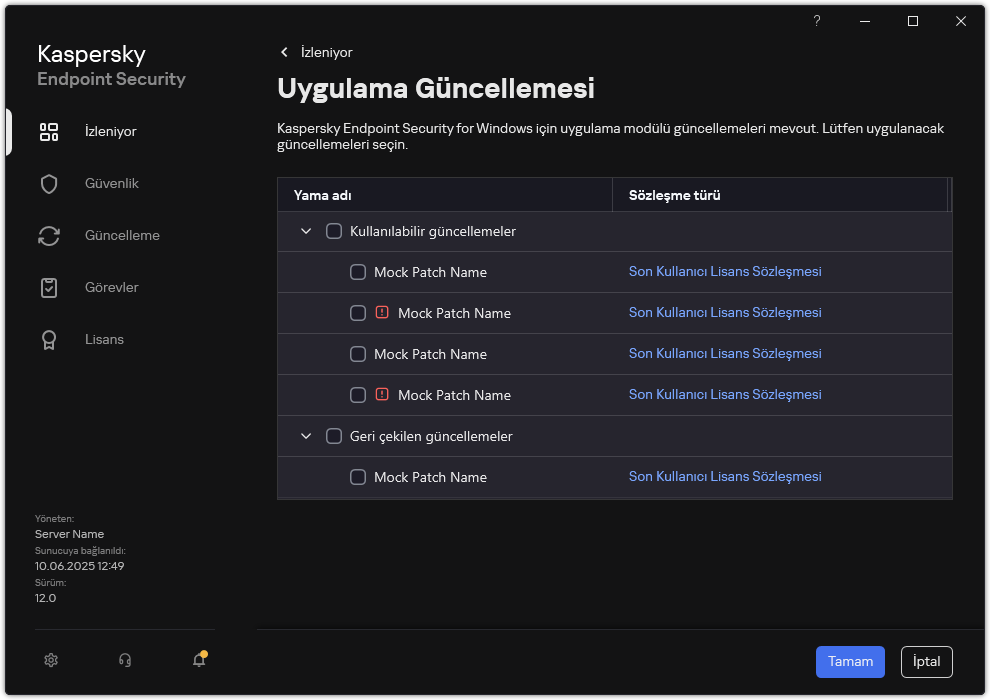 Kullanılabilir yamaların listesini içeren pencere. Kullanıcı yamaları seçebilir ve anlaşmaların hüküm ve koşullarını kabul edebilir.