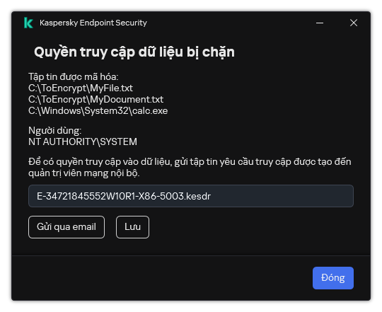 Một cửa sổ có tập tin yêu cầu truy cập dữ liệu được mã hóa. Người dùng có thể lưu tập tin đã tạo vào đĩa hoặc gửi tập tin qua email.