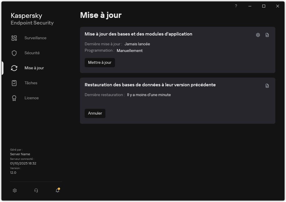 Une fenêtre avec la liste des tâches de mise à jour locales. L'utilisateur peut lancer la mise à jour des bases de données et des modules d'application, ainsi qu'annuler la dernière mise à jour.