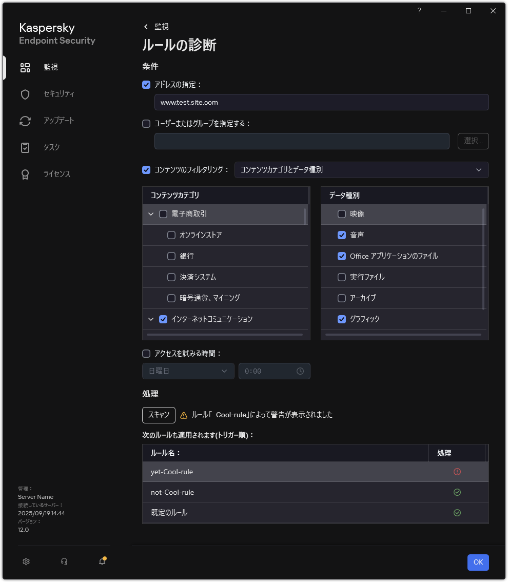 Web リソースのテスト結果ウィンドウ。