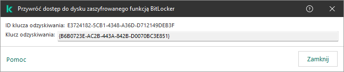 Okno z kluczem do przywrócenia dostępu do zaszyfrowanego dysku niesystemowego.
