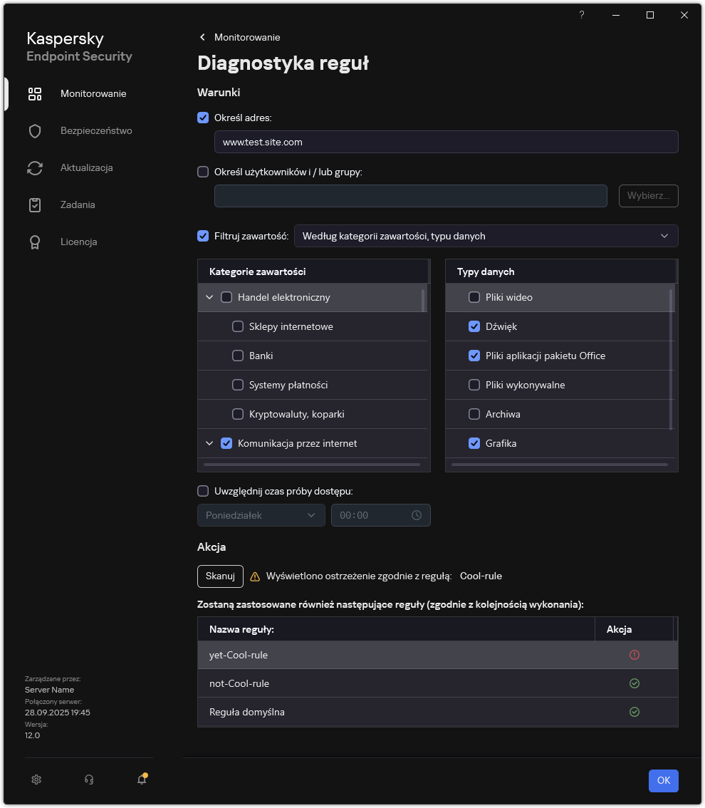 Okno wyników testu zasobu sieciowego.
