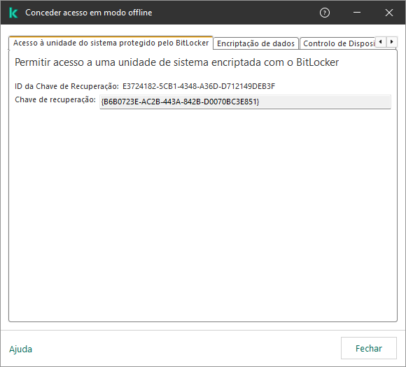 Uma janela com a chave para restaurar o acesso à unidade do sistema encriptado.