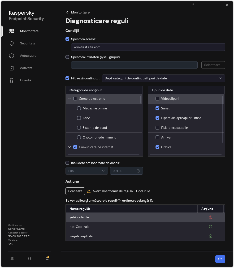 Fereastra cu rezultatele testului resurselor web.