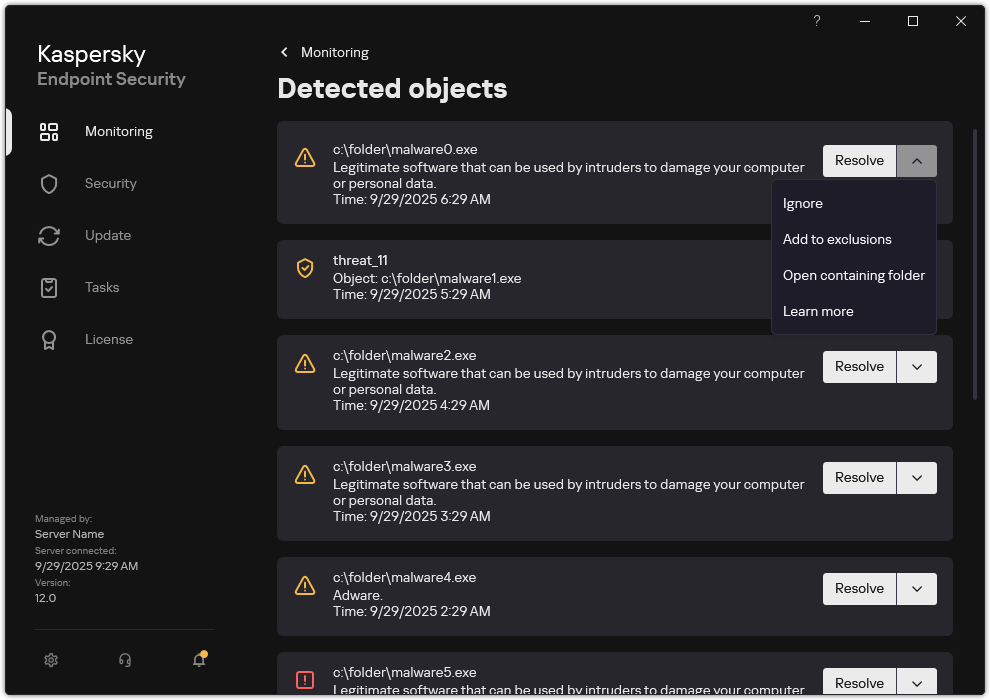 A window with the list of detected objects. Information about the object is displayed. The user can resolve or remove the object.
