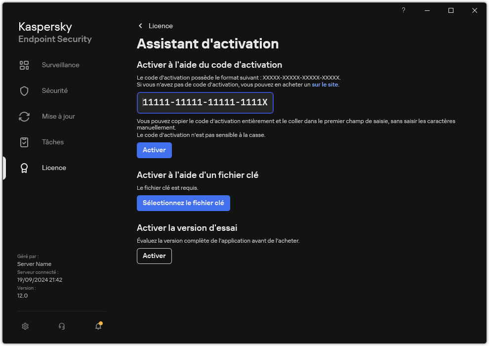 Fenêtre avec les outils d'activation de l'application. L'utilisateur peut saisir un code d'activation ou sélectionnez un fichier clé.