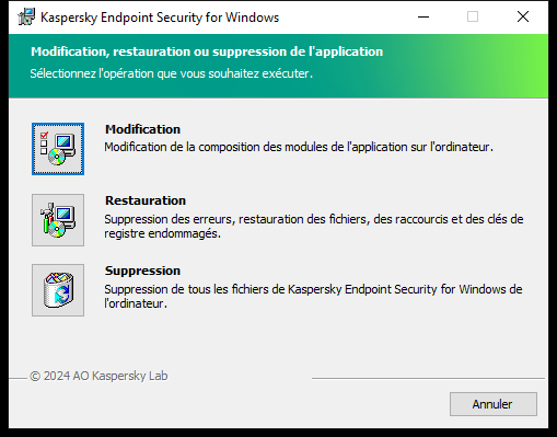 Fenêtre de l'installateur avec une liste des opérations disponibles : modification de l'ensemble des modules, réparation de l'application, suppression de l'application.