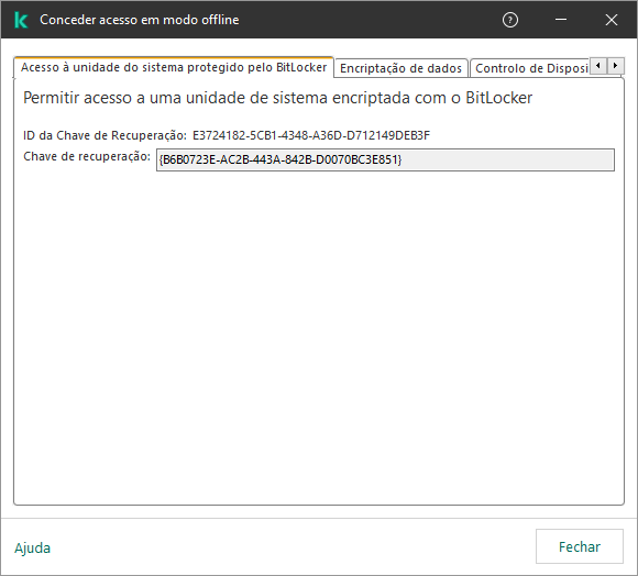 Uma janela com a chave para restaurar o acesso à unidade do sistema encriptado.