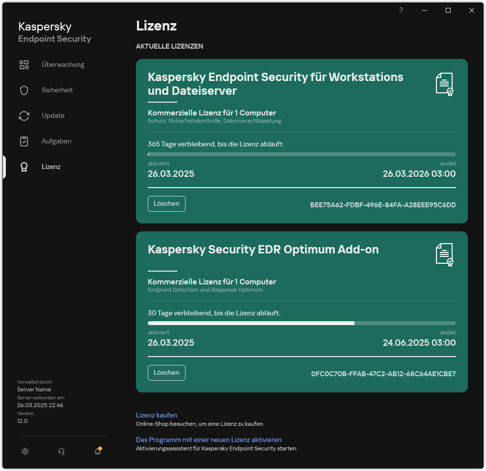 Fenster mit aktuellen Lizenzen.