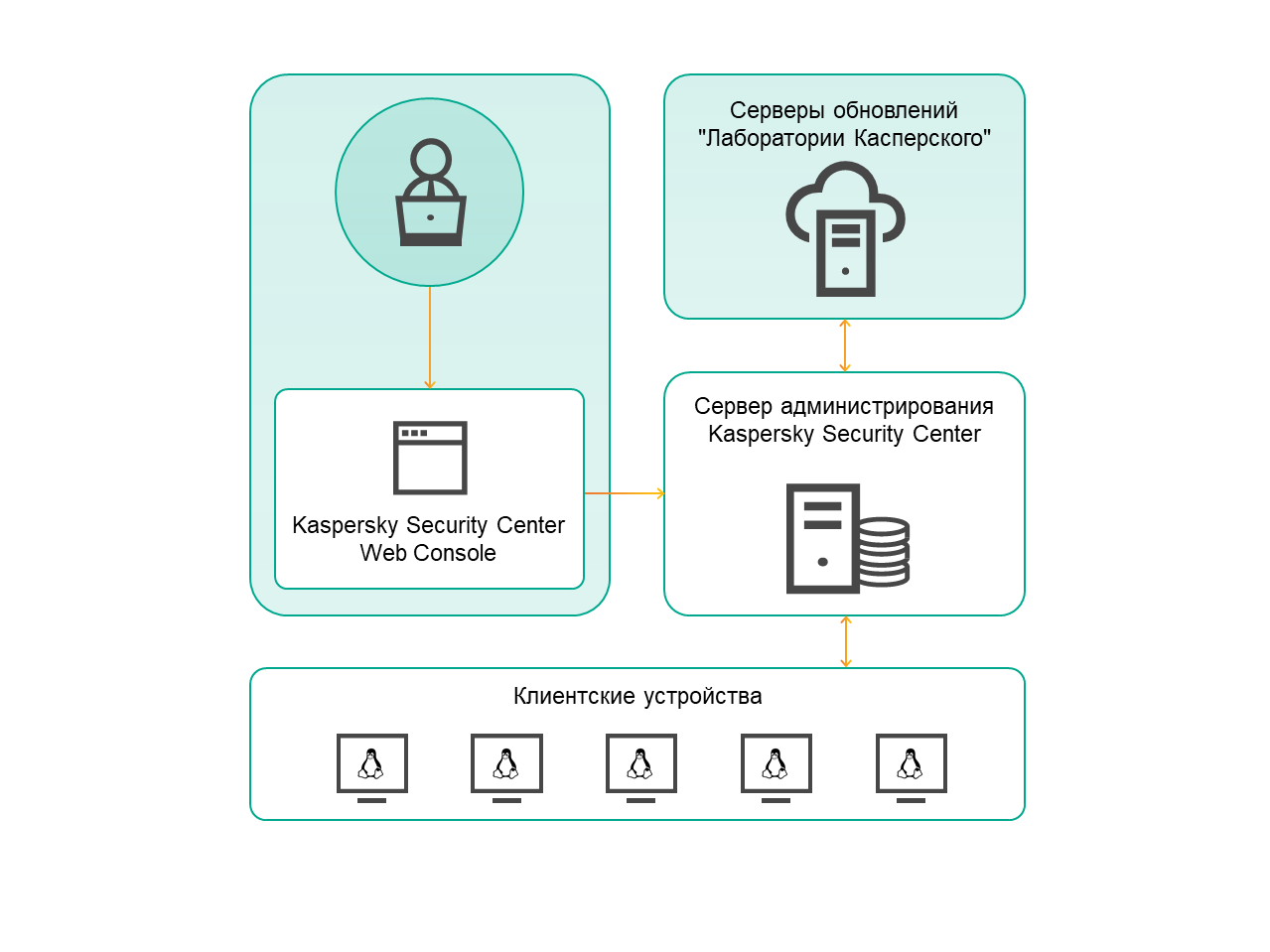 Администратор может управлять Сервером администрирования с помощью Web Console. Сервер администрирования получает обновления с серверов обновлений "Лаборатории Касперского", обменивается информацией с серверами KSN и распространяет обновления на клиентские устройства с операционной системой Linux.