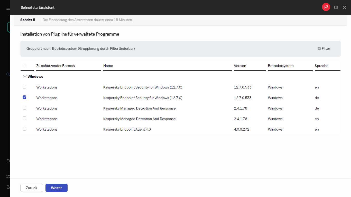 Der Schritt "Installation von Plug-ins" des Schnellstartassistenten.