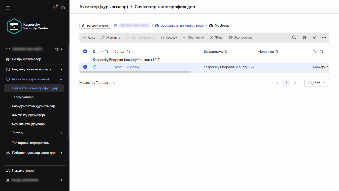 Таңдалған саясаты бар саясаттар мен профильдер терезесі.