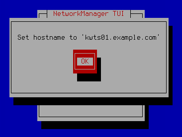 The screenshot shows the confirmation window for the virtual machine domain name.