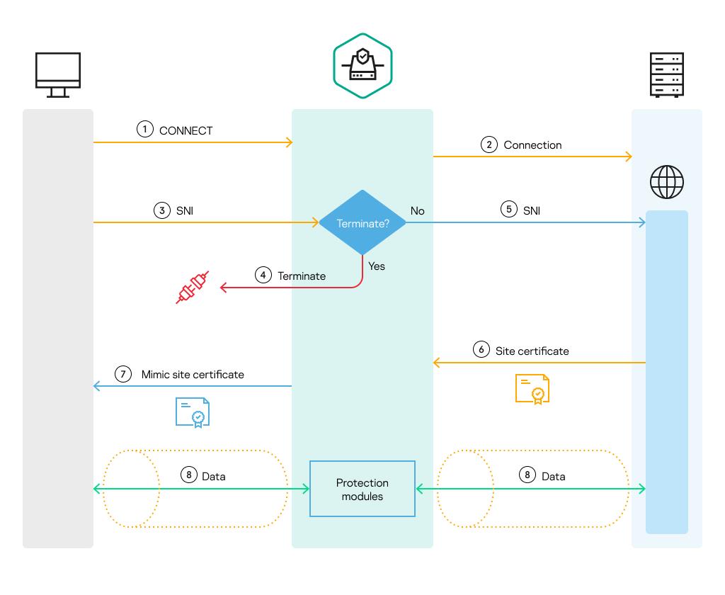 Principles of processing encrypted connections.