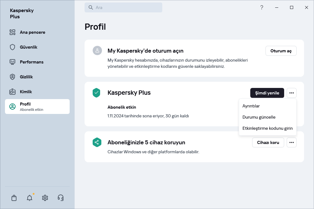 Profil penceresi