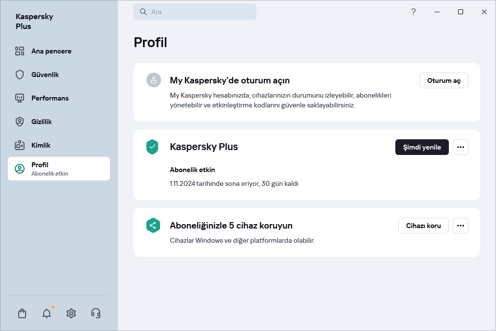 Profil penceresi
