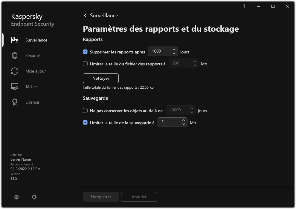 Fenêtre des paramètres des rapports et du stockage. L'utilisateur peut définir la taille, et limiter la durée de stockage des rapports et des objets dans le stockage.