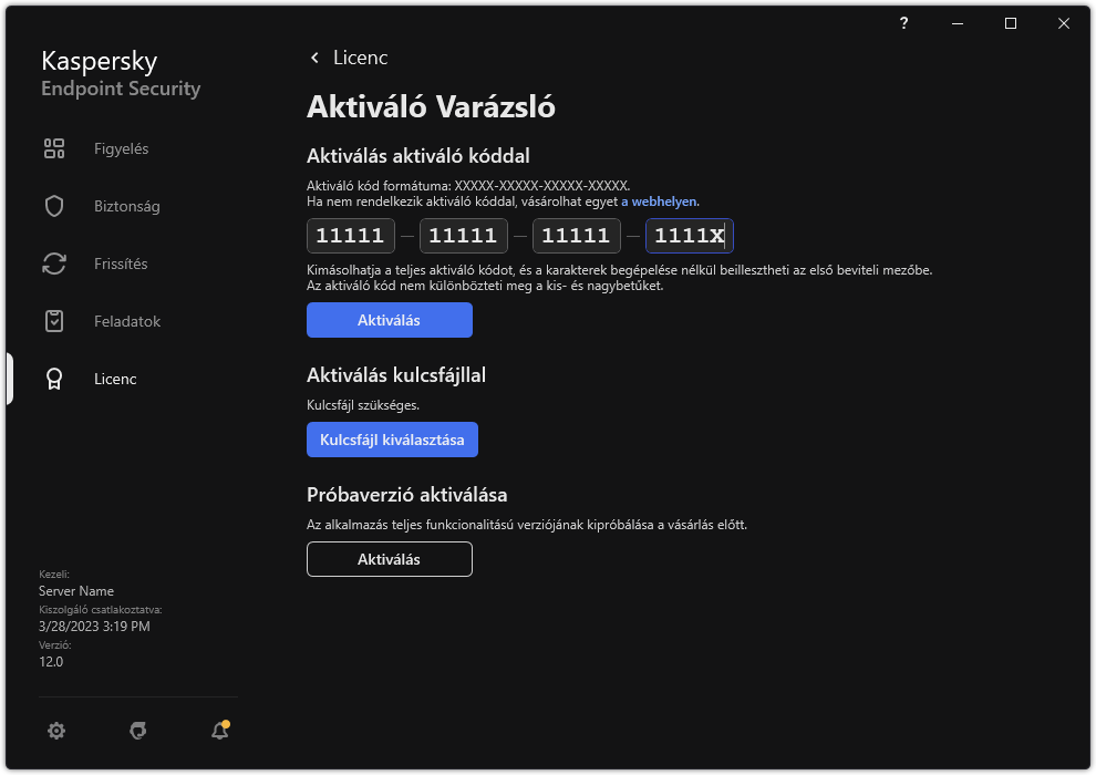 Ablak az alkalmazás aktiválására szolgáló eszközökkel. A felhasználó megadhat egy aktiváló kódot, vagy kiválaszthat egy kulcsfájlt.