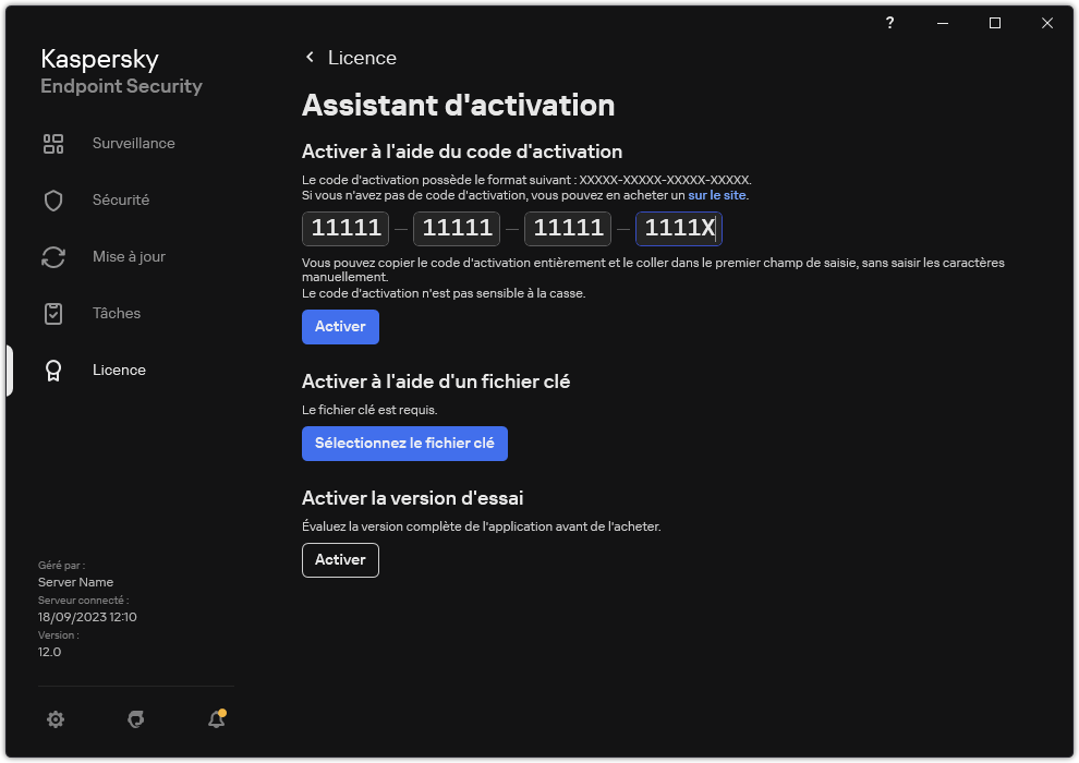 Fenêtre avec les outils d'activation de l'application. L'utilisateur peut saisir un code d'activation ou sélectionnez un fichier clé.