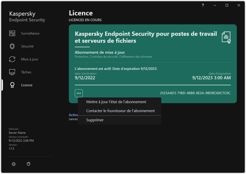 La fenêtre contenant des informations sur la licence. L'utilisateur peut mettre à jour l'état de l'abonnement, contacter le fournisseur de l'abonnement ou supprimer la licence.