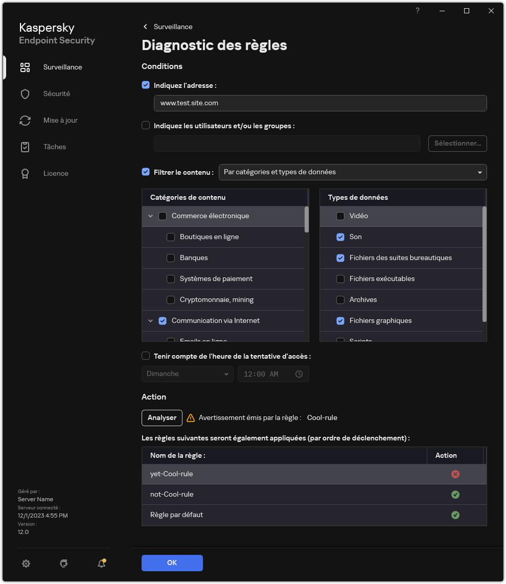 Fenêtre des résultats des tests des ressources Internet.
