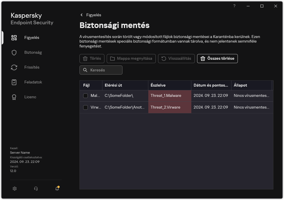 Biztonsági mentés ablak.