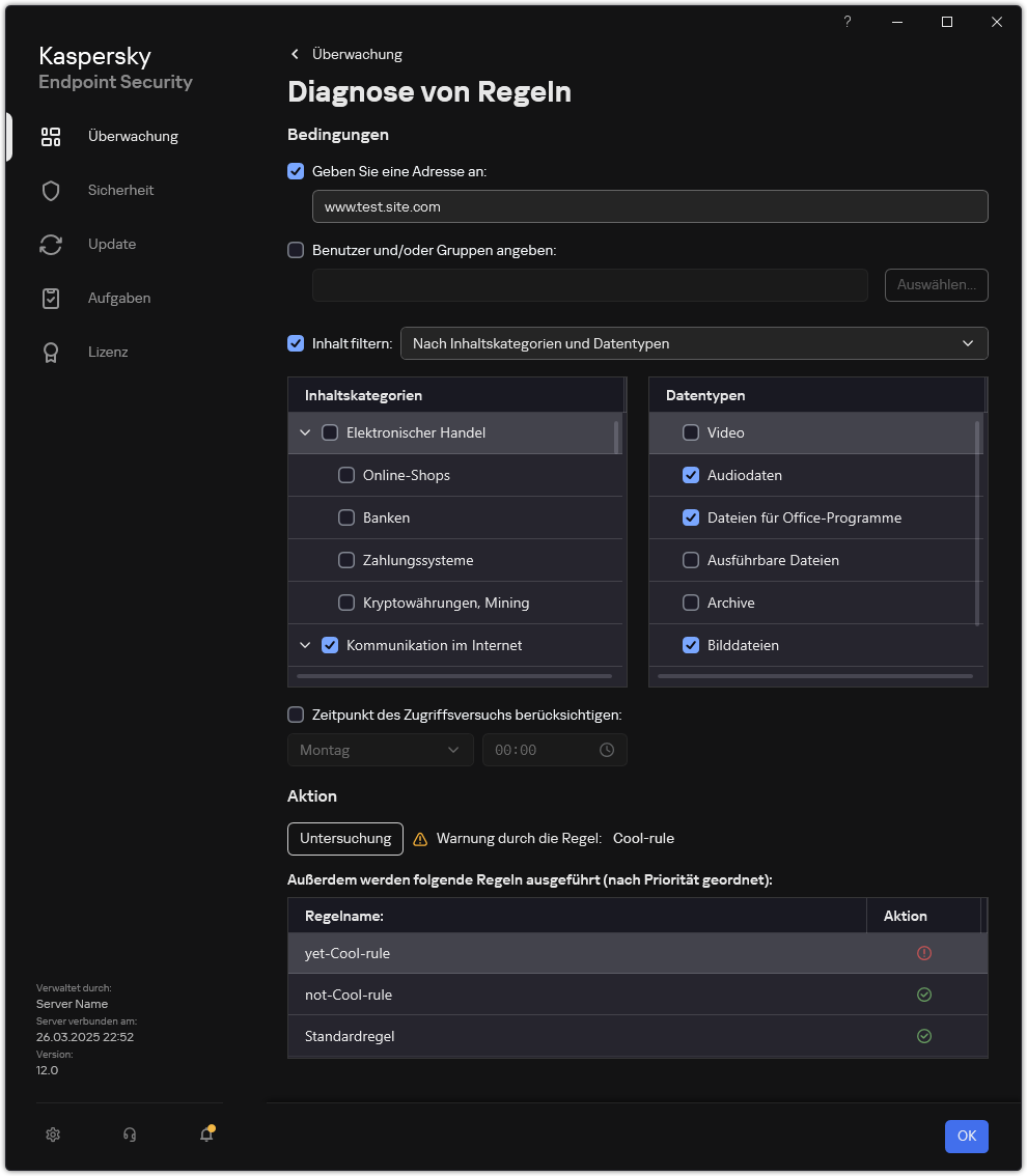 Fenster mit Testergebnissen für eine Webressource.