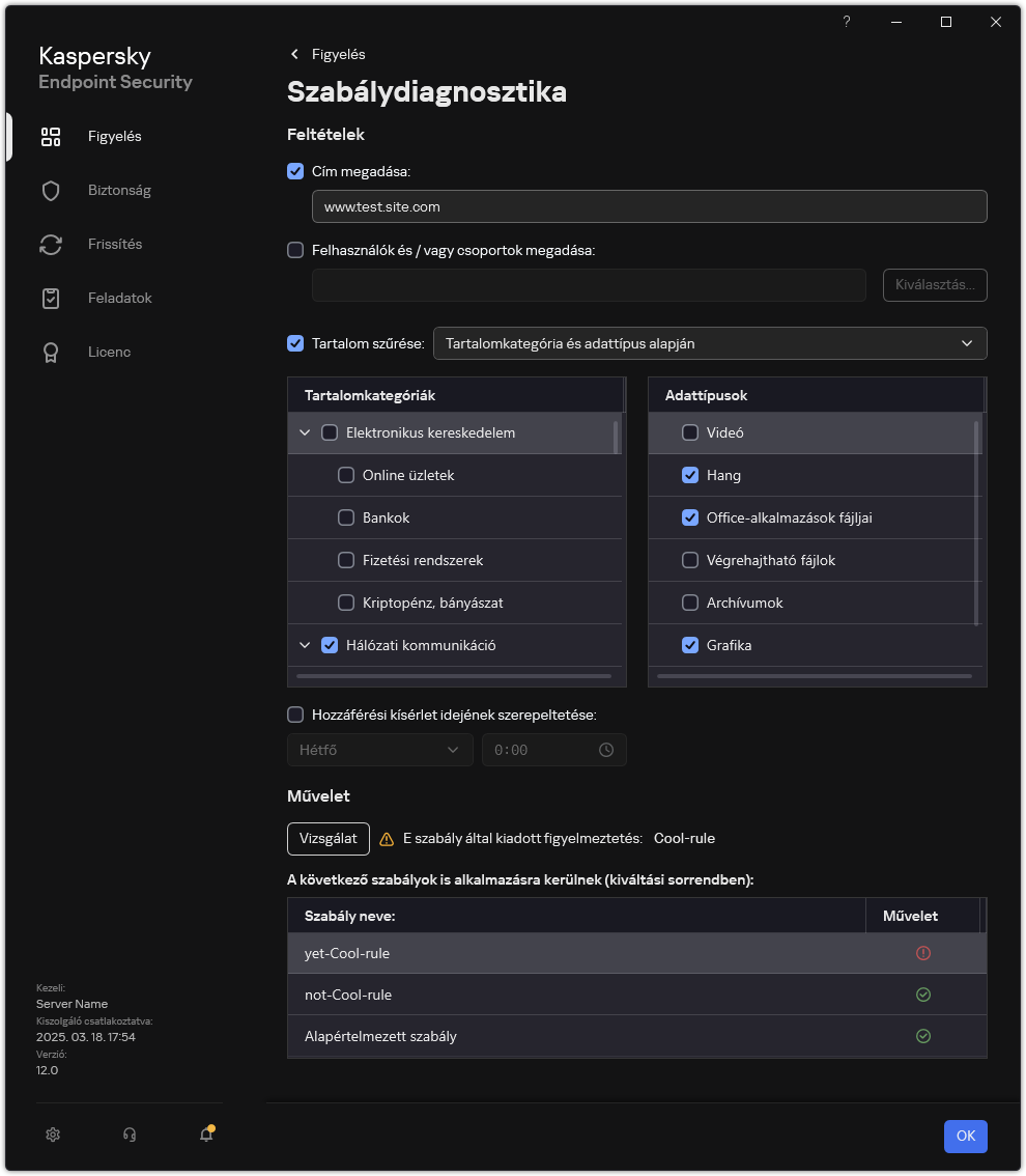 Webes erőforrás teszteredményei ablak.