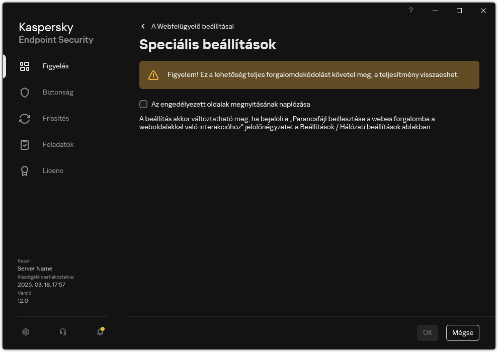 A Webfelügyelő speciális beállításainak ablaka.