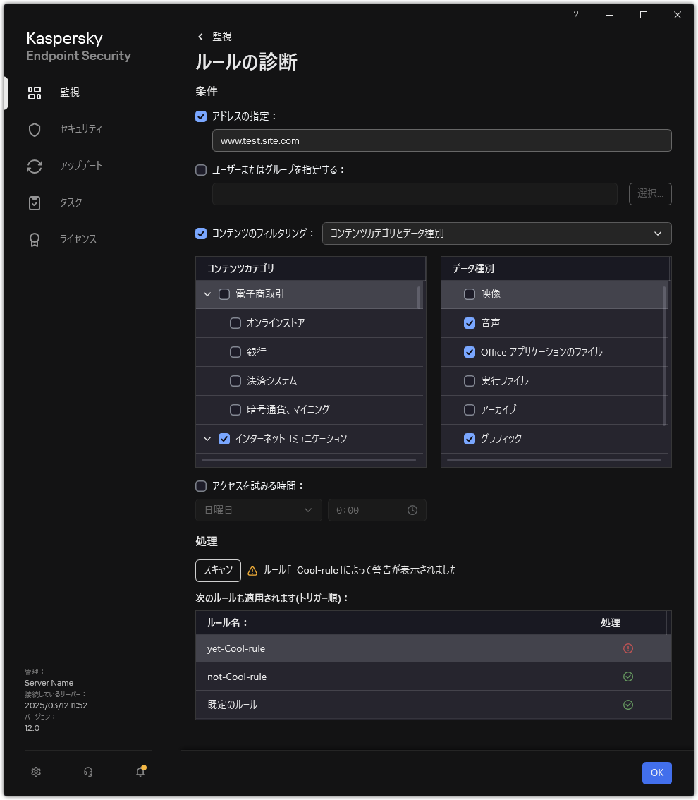 Web リソースのテスト結果ウィンドウ。