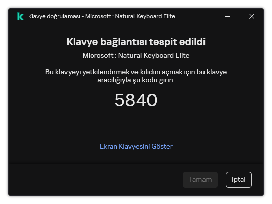 Klavye yetkilendirme kodunun bulunduğu pencere. Kullanıcı, ekran klavyesini etkinleştirebilir ve kodu girebilir.