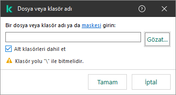 Bir dosya veya klasörün yolunu girmek için alan içeren bir pencere. Maskeler kullanılabilir. Kullanıcı, dosya yöneticisini kullanarak bir dosya seçebilir.