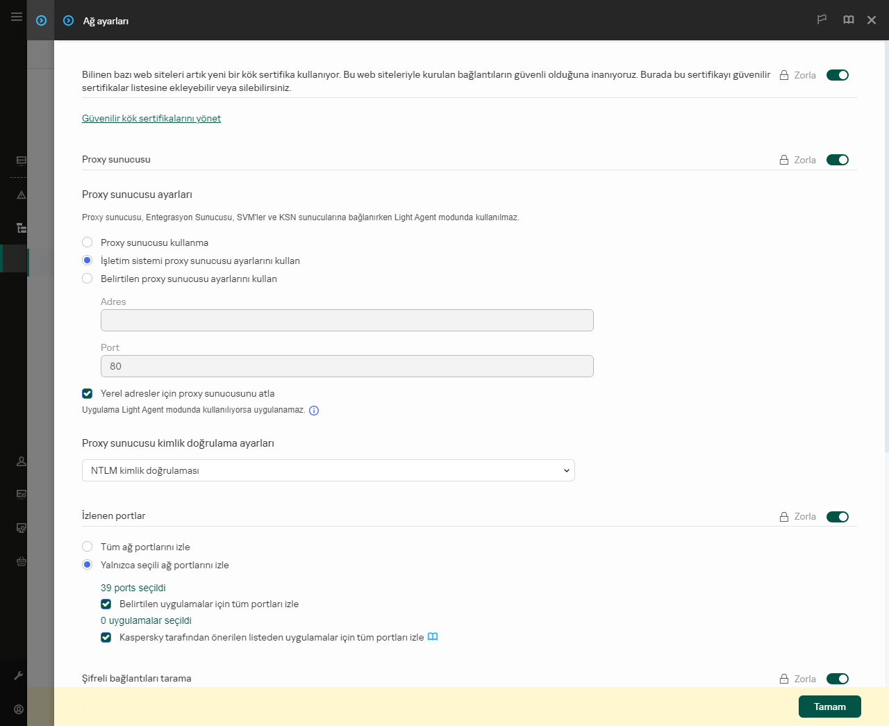 Uygulama ağ ayarları penceresi. Kullanıcı proxy sunucusu ayarlarını yapılandırabilir.
