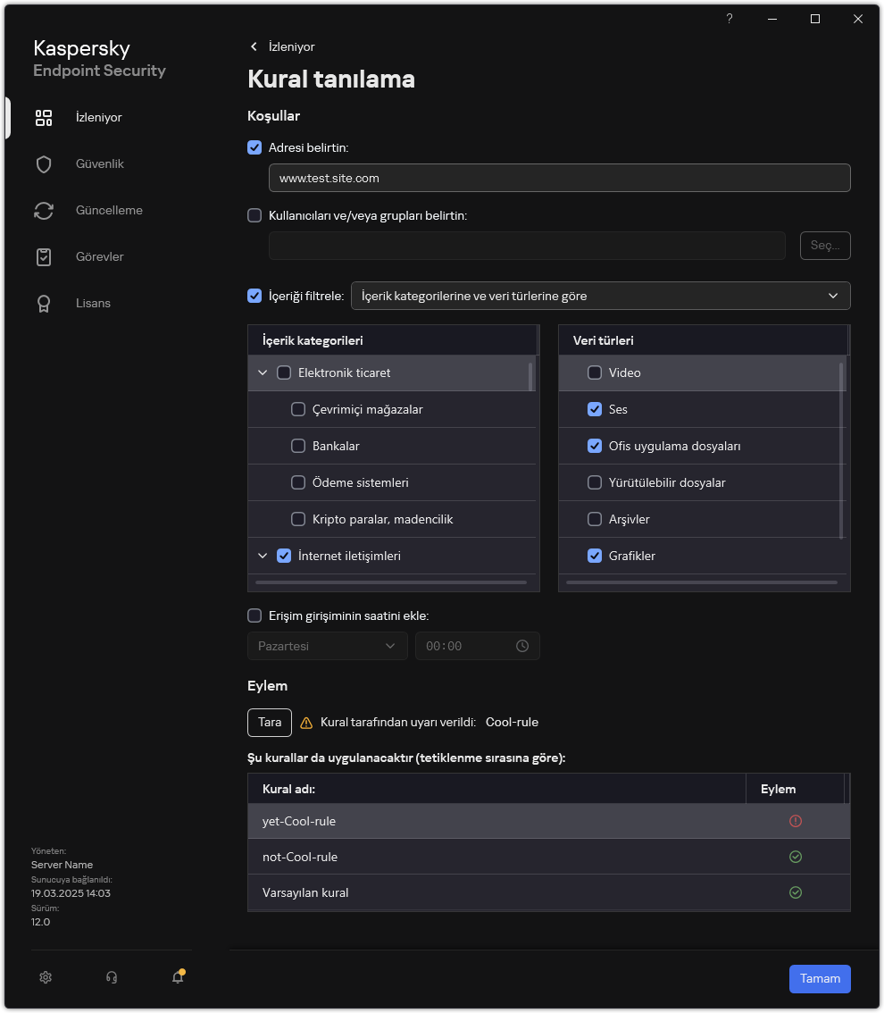 Web kaynağı test sonuçları penceresi.