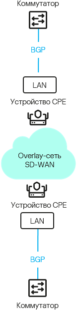 Схема, на которой два коммутатора подключены к устройствам CPE по протоколу BGP. Устройства CPE в свою очередь подключены через overlay-сеть SD-WAN.