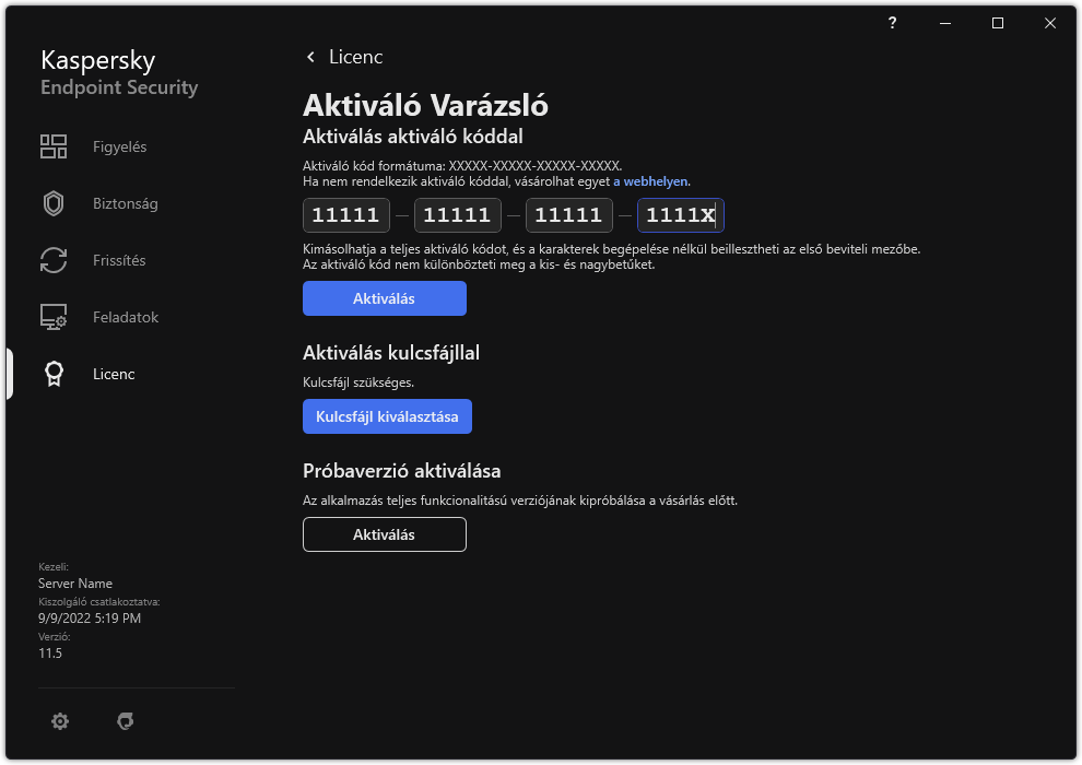 Ablak az alkalmazás aktiválására szolgáló eszközökkel. A felhasználó megadhat egy aktiváló kódot, vagy kiválaszthat egy kulcsfájlt.