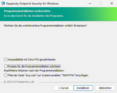 Fenster mit Installationseinstellungen: Installationsschutz, Kompatibilität mit Citrix PVS, Systemvariable für avp.com.