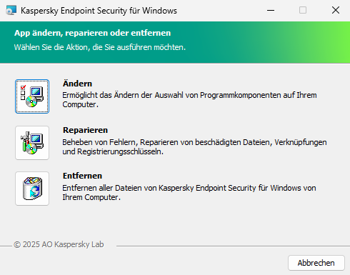 Fenster des Installationsprogramms mit einer Liste der verfügbaren Operationen: ausgewählte Komponenten ändern, App reparieren, App entfernen.