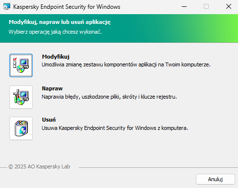 Okno instalatora z listą dostępnych działań: zmiana zestawu komponentów, naprawa aplikacji, usunięcie aplikacji.