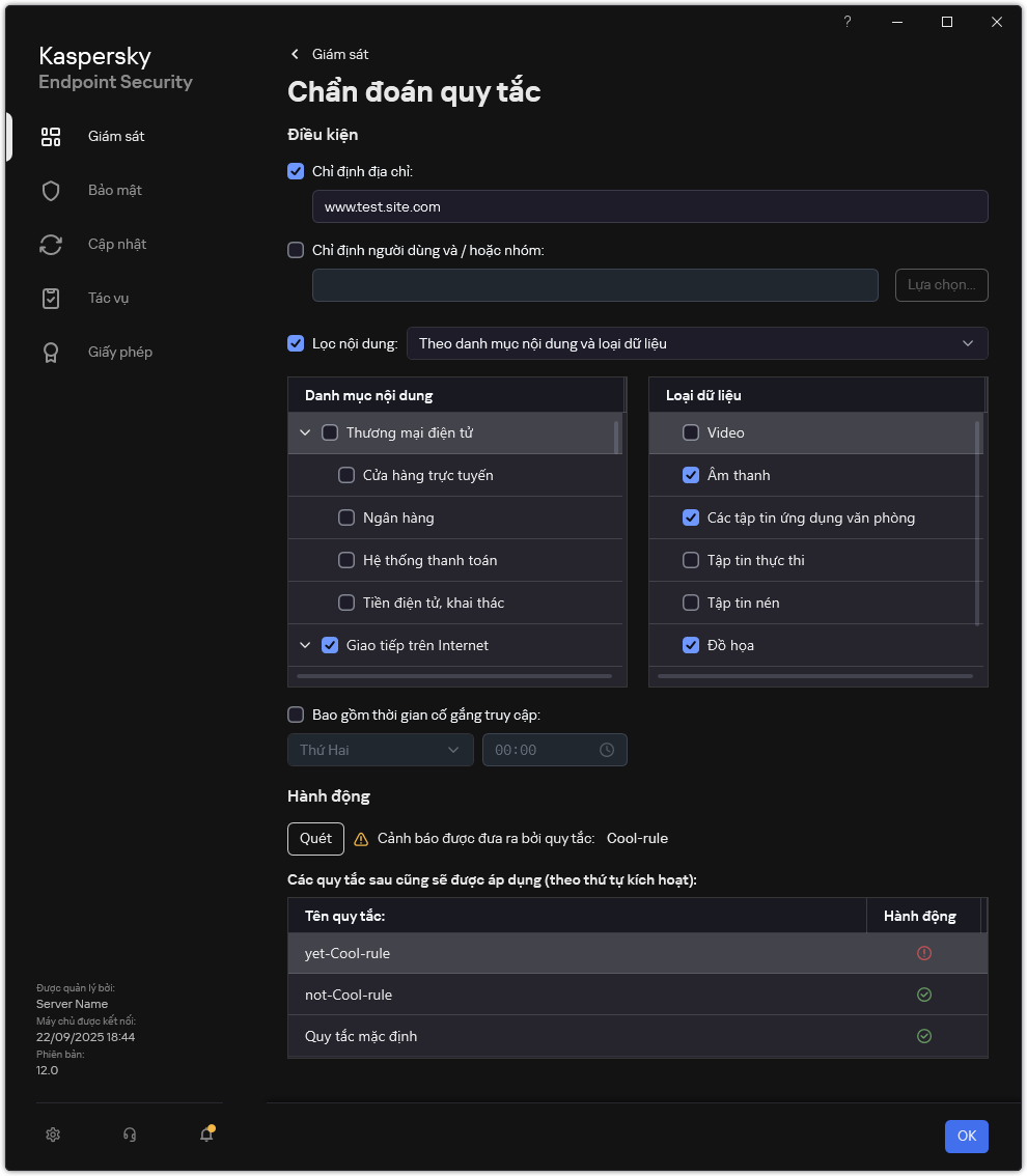 Cửa sổ kết quả kiểm tra tài nguyên web.