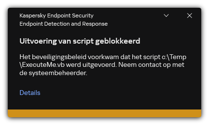 Melding over geblokkeerde uitvoering van script. De gebruiker kan gedetailleerde informatie over de regel bekijken.