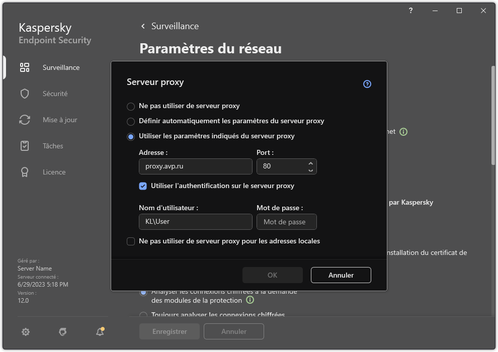 La fenêtre de configuration de la connexion au serveur proxy. L'utilisateur peut définir l'adresse du serveur proxy et les identifiants pour se connecter au serveur proxy.