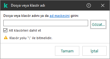 Bir dosya veya klasörün yolunu girmek için alan içeren bir pencere. Maskeler kullanılabilir. Kullanıcı, dosya yöneticisini kullanarak bir dosya seçebilir.