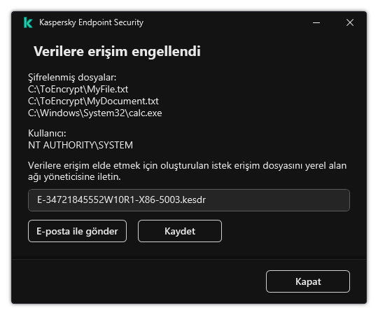 Şifrelenmiş verilere erişmek için istek dosyası içeren bir pencere. Kullanıcı, oluşturulan dosyayı diske kaydedebilir veya e-posta ile gönderebilir.