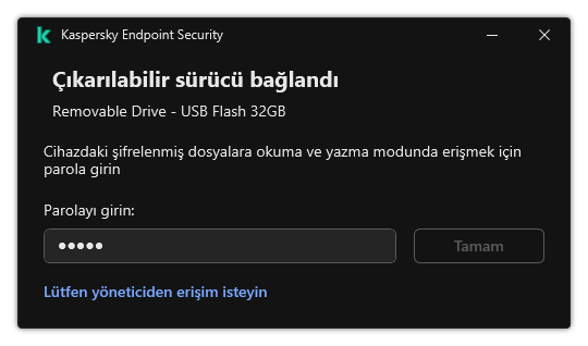 Pencere bir parola giriş alanı içerir. Kullanıcı bir dosya erişim isteği oluşturabilir.