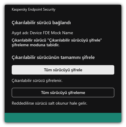 Dosya şifrelemenin etkinleştirildiği bağlı bir sürücü hakkında bildirim. Kullanıcı dosyaları şifreleyebilir veya reddedebilir.