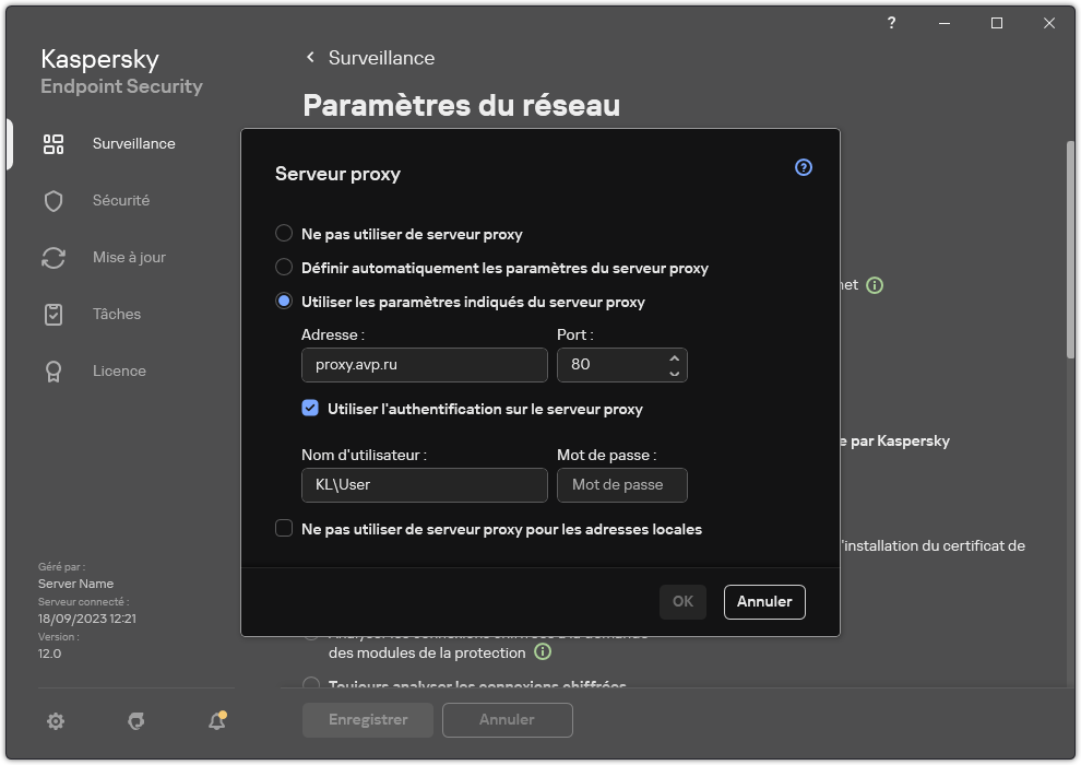 La fenêtre de configuration de la connexion au serveur proxy. L'utilisateur peut définir l'adresse du serveur proxy et les identifiants pour se connecter au serveur proxy.