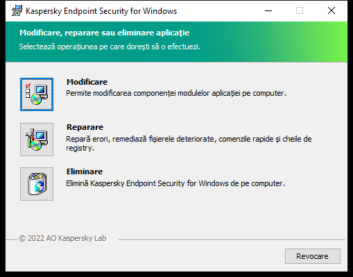 Fereastra de instalare cu o listă de operațiuni disponibile: schimbarea setului de componente, repararea aplicației, eliminarea aplicației.